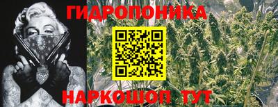 дживик Свободный