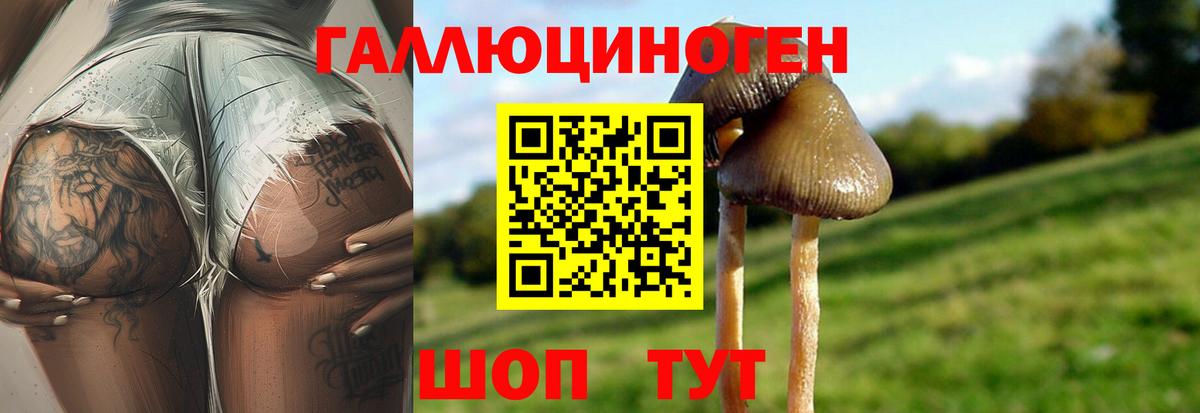 Обь  что такое   Вход с VPN  Галлюциногенные грибы Psilocybine cubensis 